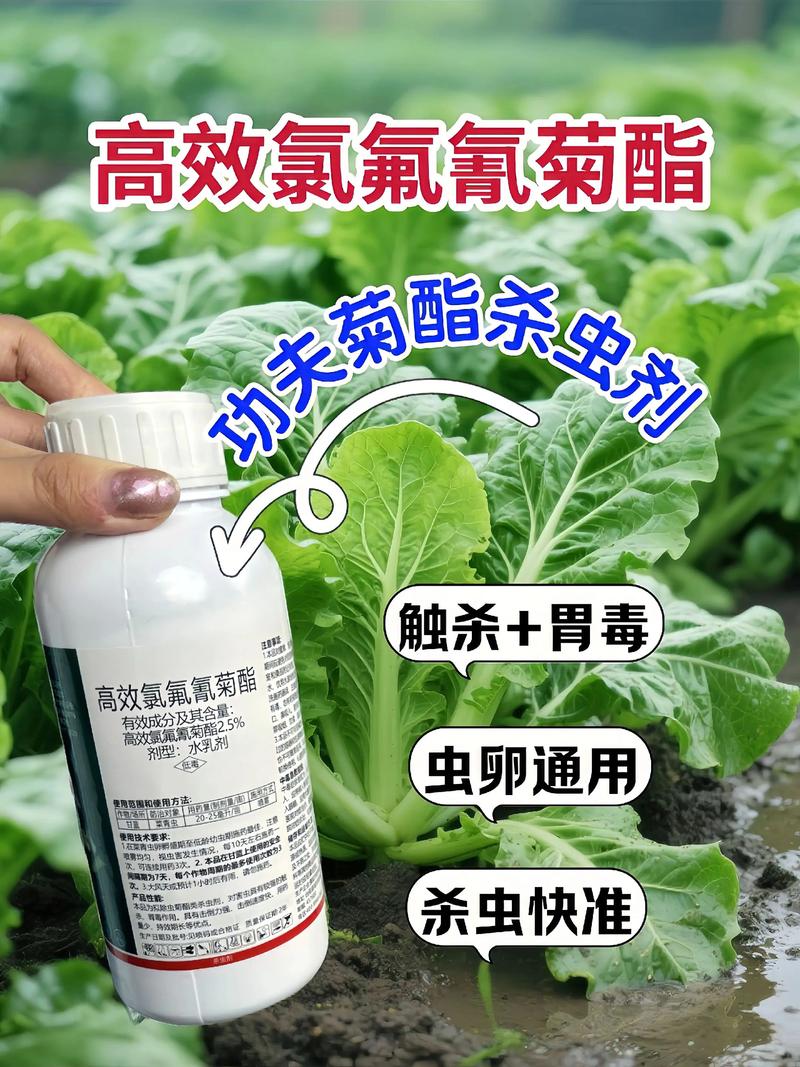 南川代生中心:农药对供卵代生妈妈的危害